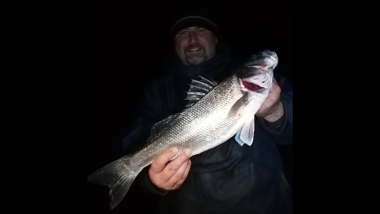 Bass and Hound's at Dunster Beach Minehead 