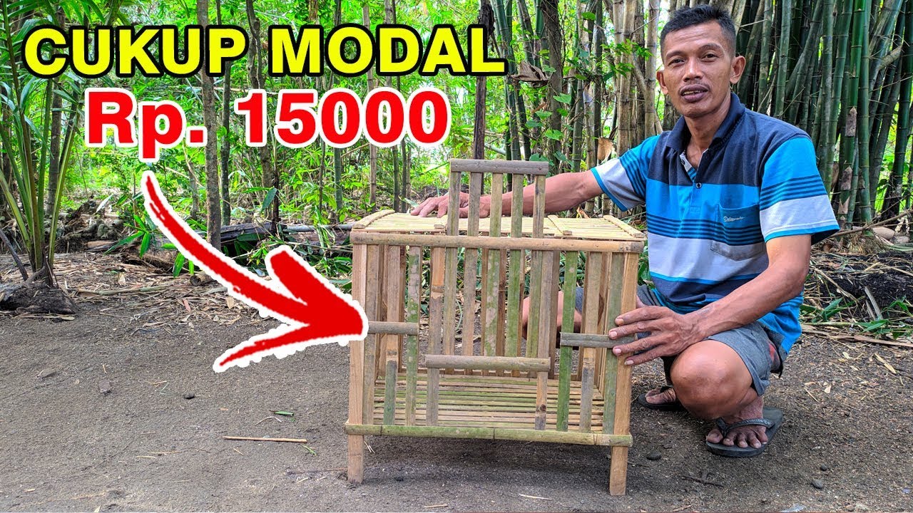 CARA MEMBUAT KANDANG AYAM SEDERHANA MURAH