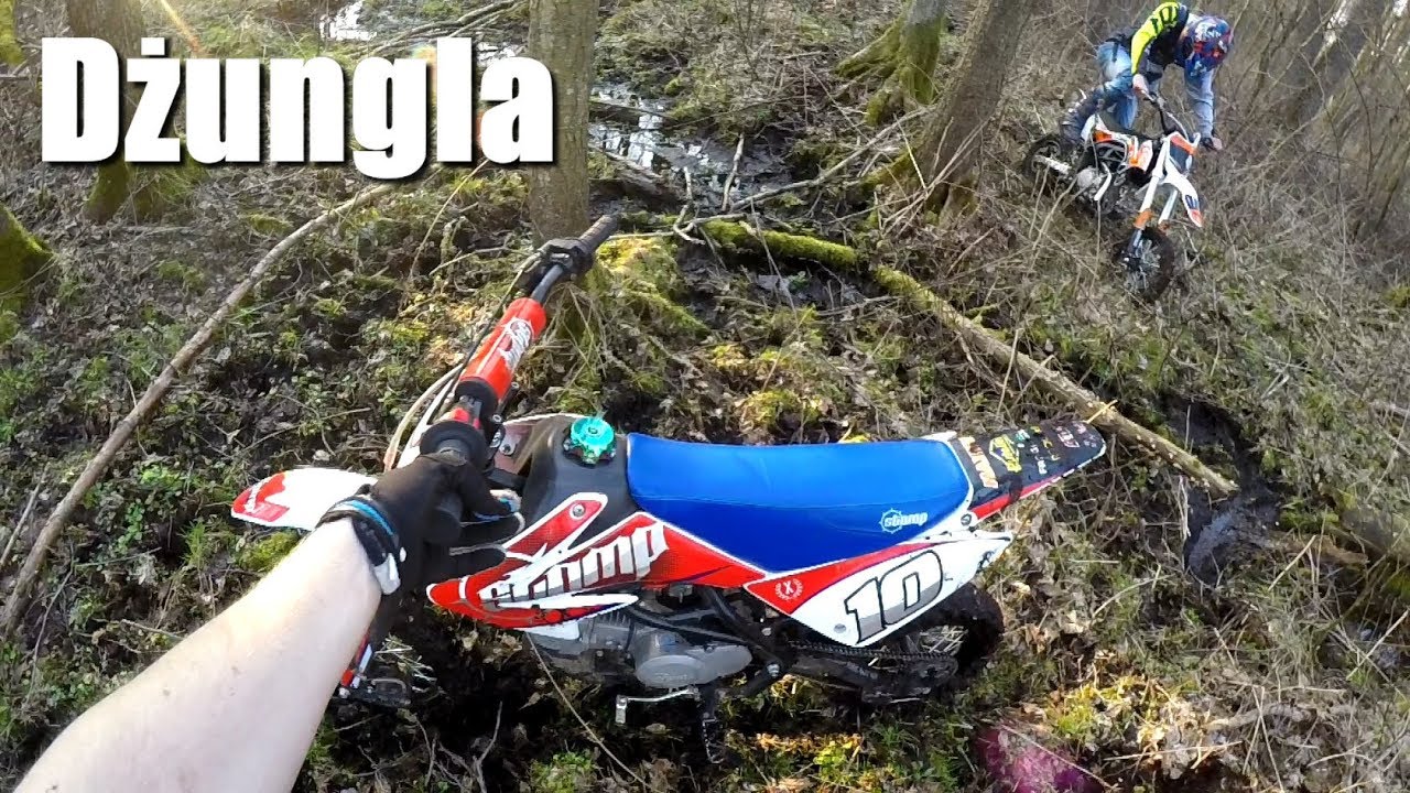 Dzicz pochłonie mojego Pitbike | STOMP&BRZ vs JUNGLE