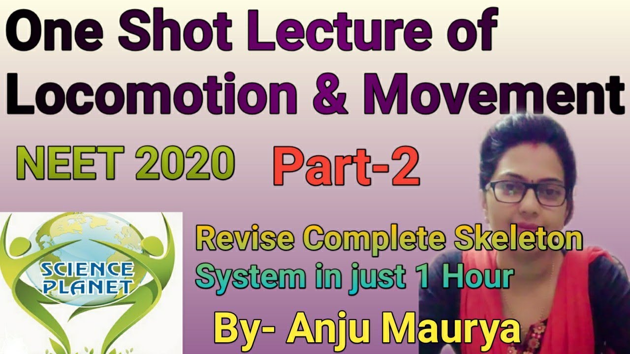 Complete Skeleton System in Easier Way!  Locomotion & Movement in One shot 11th NCERT By-Anju Maurya