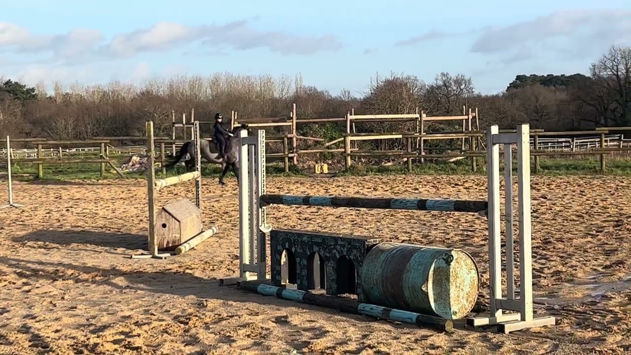 Looping EPDJ Lays étalons Trainning CCJP 5 ans janvier 2026