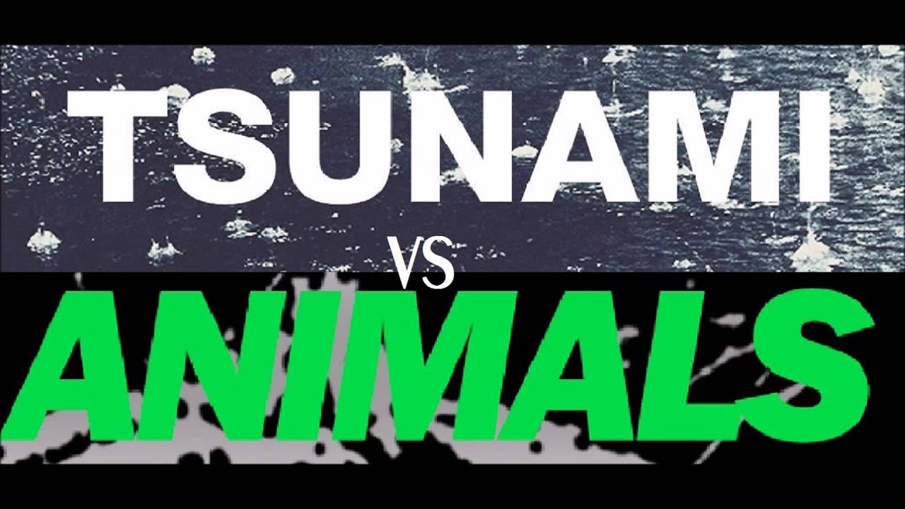 Martin Garrix Animals Vs. DVBBS Tsunami