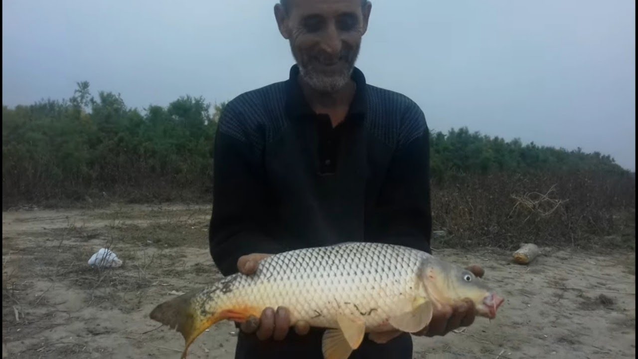 SAMUX RAYONUNDA KÜR ÇAYINDA SAZAN OVU!! 03.11.2021
