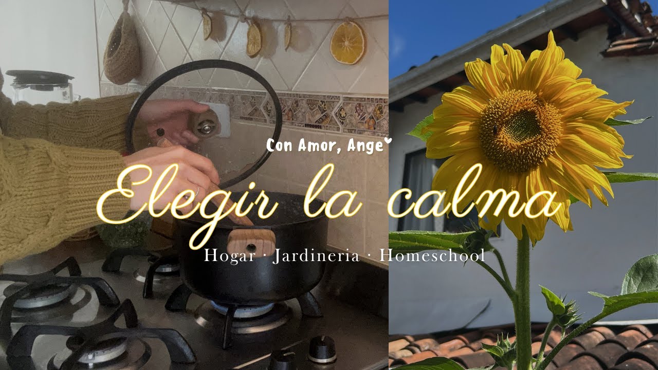 Así se ve un día tranquilo como ama de casa 🏡| Sembramos girasoles 🌻