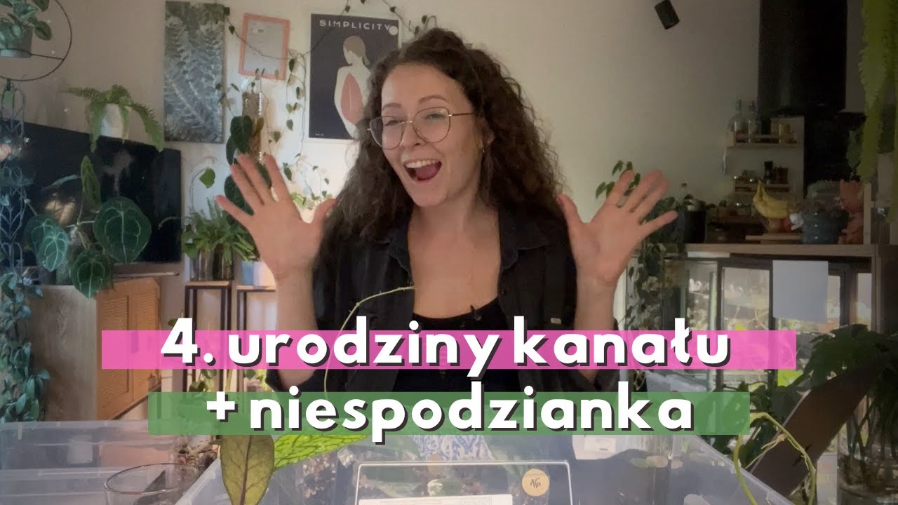 wracam z unboxingiem | jakie hoje kupiłam?