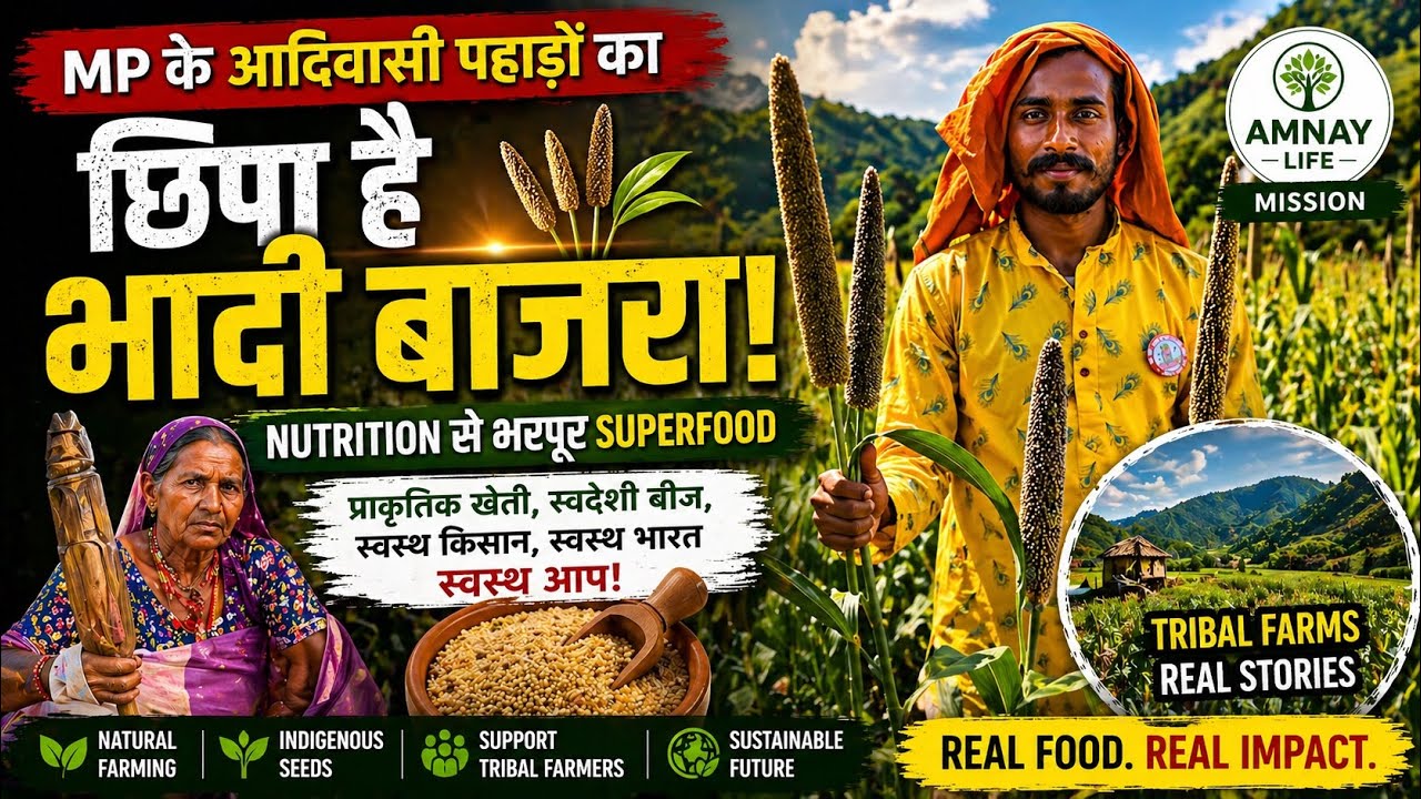 Tribal Farming in Madhya Pradesh Hills | Jowar-Bajra- Millet & Sustainable Living
