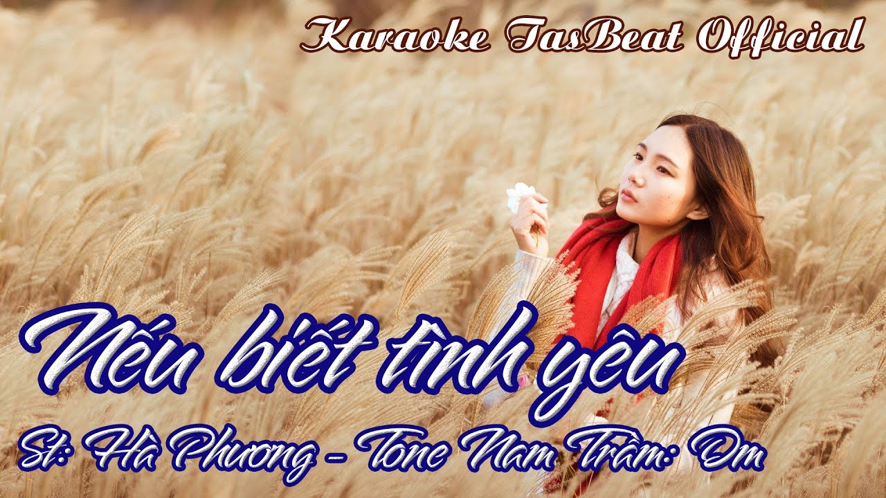 Karaoke Nếu Biết Tình Yêu Tone Nam Trầm | TAS BEAT