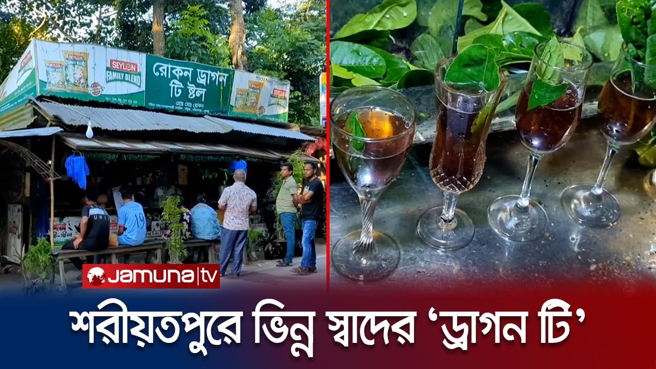 শরীয়তপুরে বাহারি স্বাদের 'ড্রাগন টি' নজর কেড়েছে চা-প্রেমীদের | Dragon Tea | Jamuna TV