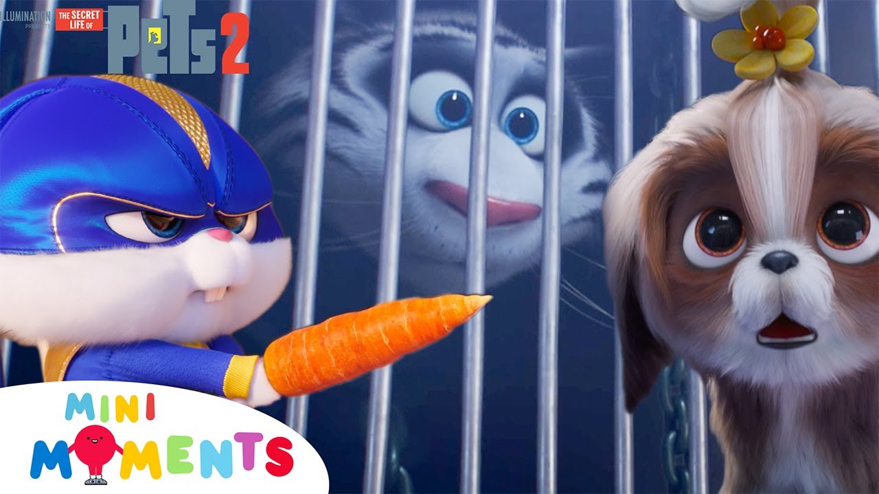 Snowball Rescues Hu?! 😲🐯✨ | The Secret Life Of Pets 2 | Clip | Mini Moments