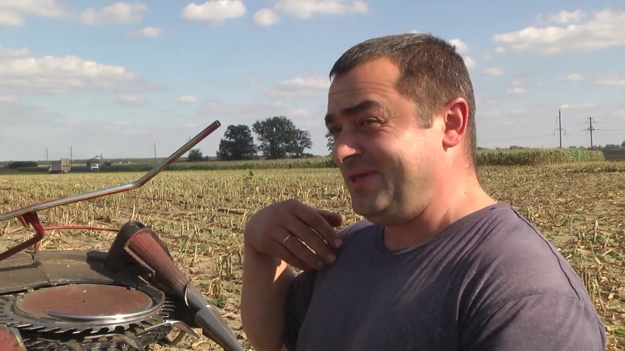 2020-09-10 г. Брест. ОАО «Чернавчицы»: уборка кукурузы, посев озимых. Новости на Буг-ТВ. #бугтв