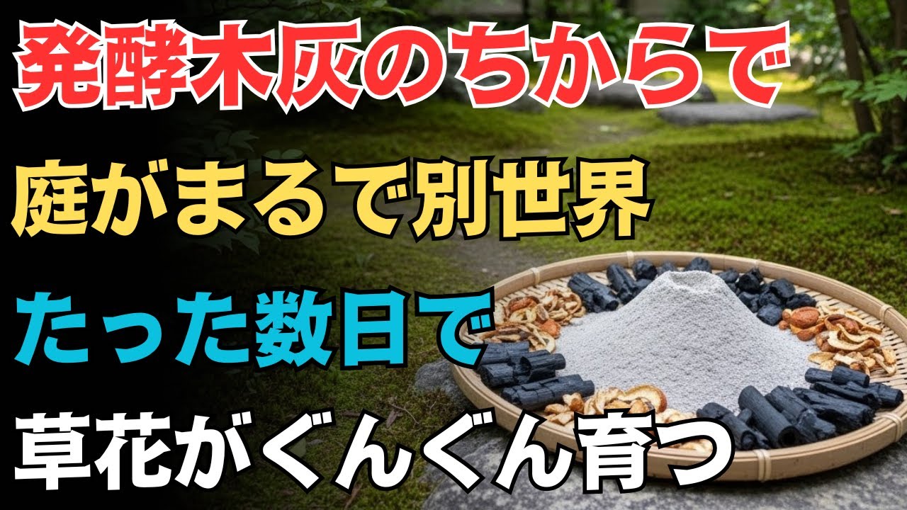 ９９％が知らない発酵木灰の正しい使い方で、植物が見違えるほど育つ！花が咲き、実が増え、味が濃くなる。元気に育ち、病気が減る理由