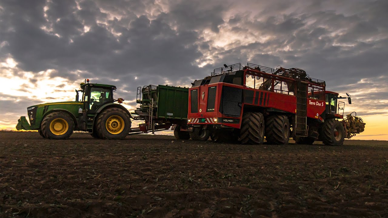 🔴 Holmer T5-40 🔥 Zber cukrovej repy | John Deere 8345R/8335R 🟢