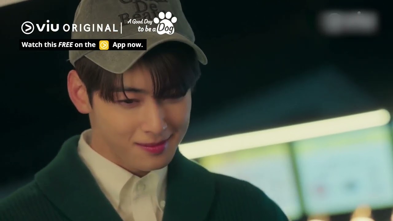 Cha Eun Woo & Park Gyu Young's Sweet Date  😍 | Viu Original, A Good Day To Be A Dog