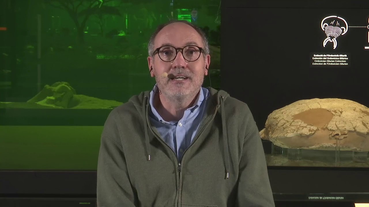 Dragones y saurios del mundo real | Museo de la Ciencia CosmoCaixa