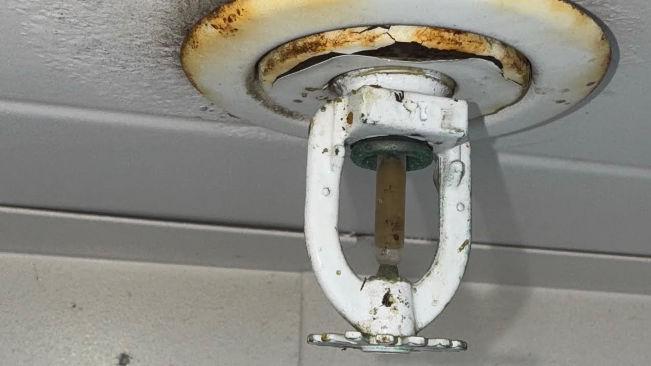 Sun faded, and corroded fire sprinkler heads!