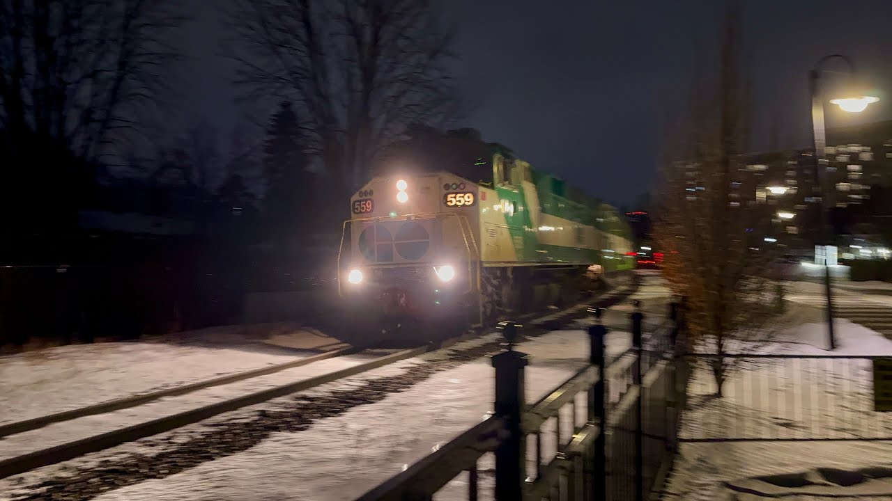 Year in review- Top 8 Train Catches of 2025 