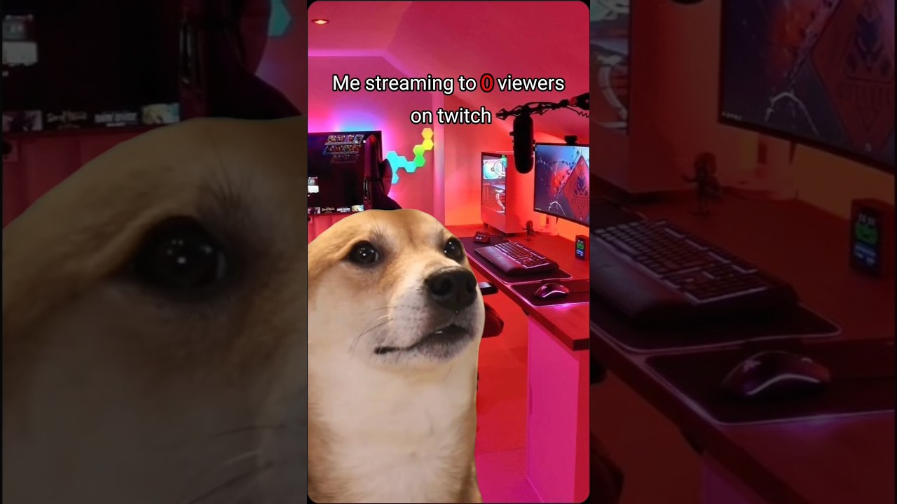 The priorities of a livestreamer😂😂 #gaming  #twitch  #relatable  #angrycat  #dancingdog  #twitch