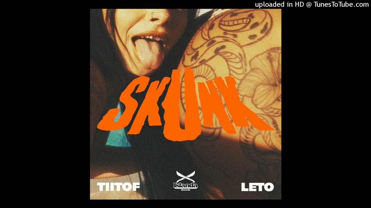 (FREE FOR PROFIT) Tiitof x Skunk type beat - 