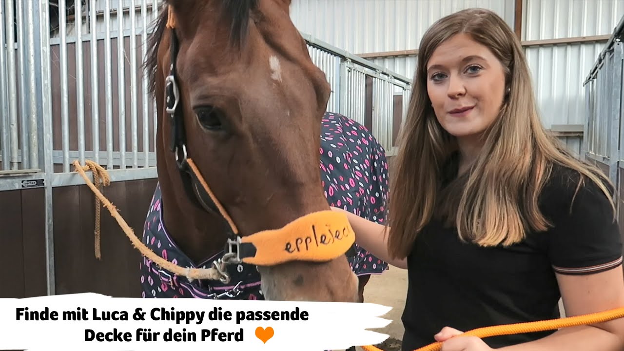Finde mit Luca & Chippy die passende Decke f&uuml;r dein Pferd | Epplejeck Reitsport