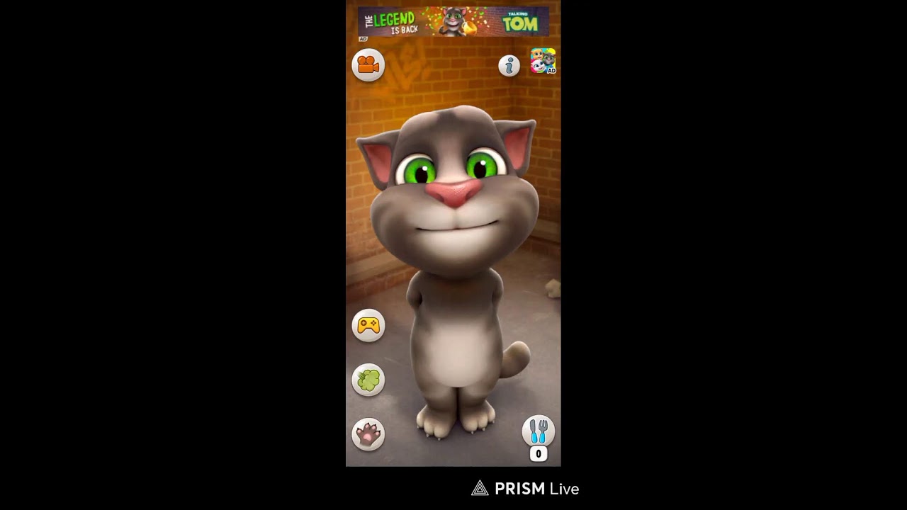 talking Tom live