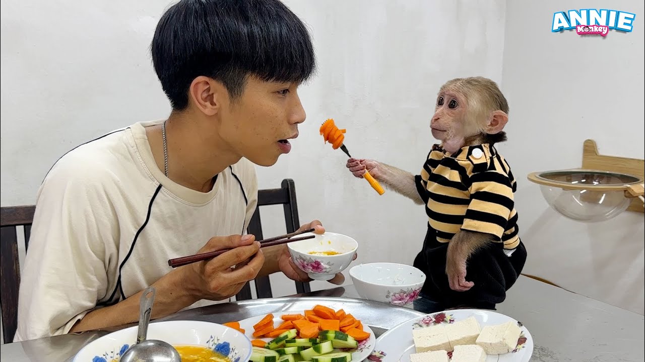 Monkey Annie helps dad prepare delicious dinner