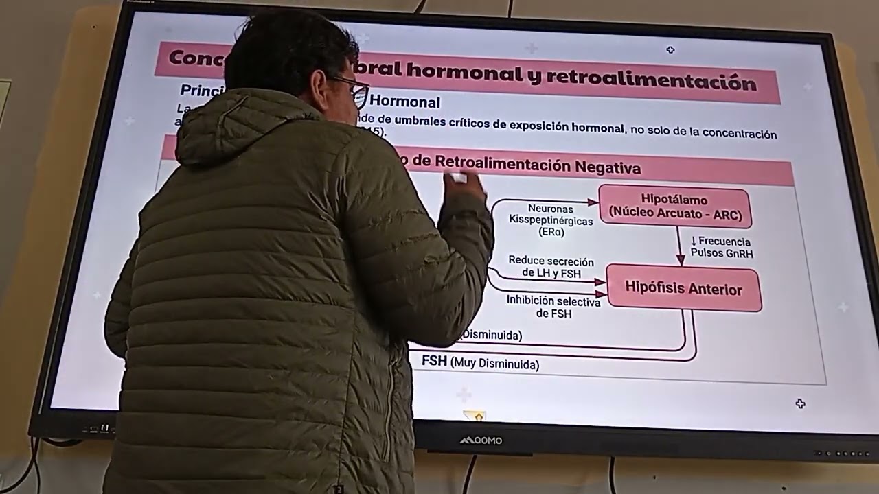GINECÓLOGA: EJE HIPOTÁLAMO -  HIPOFISIARIO - OVARIO  