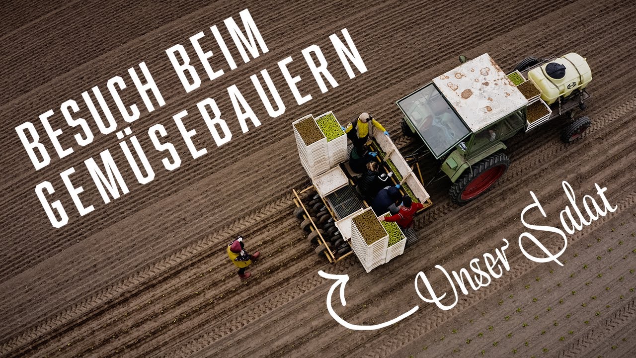 So entsteht unser Gemüse – Kochen im Tal