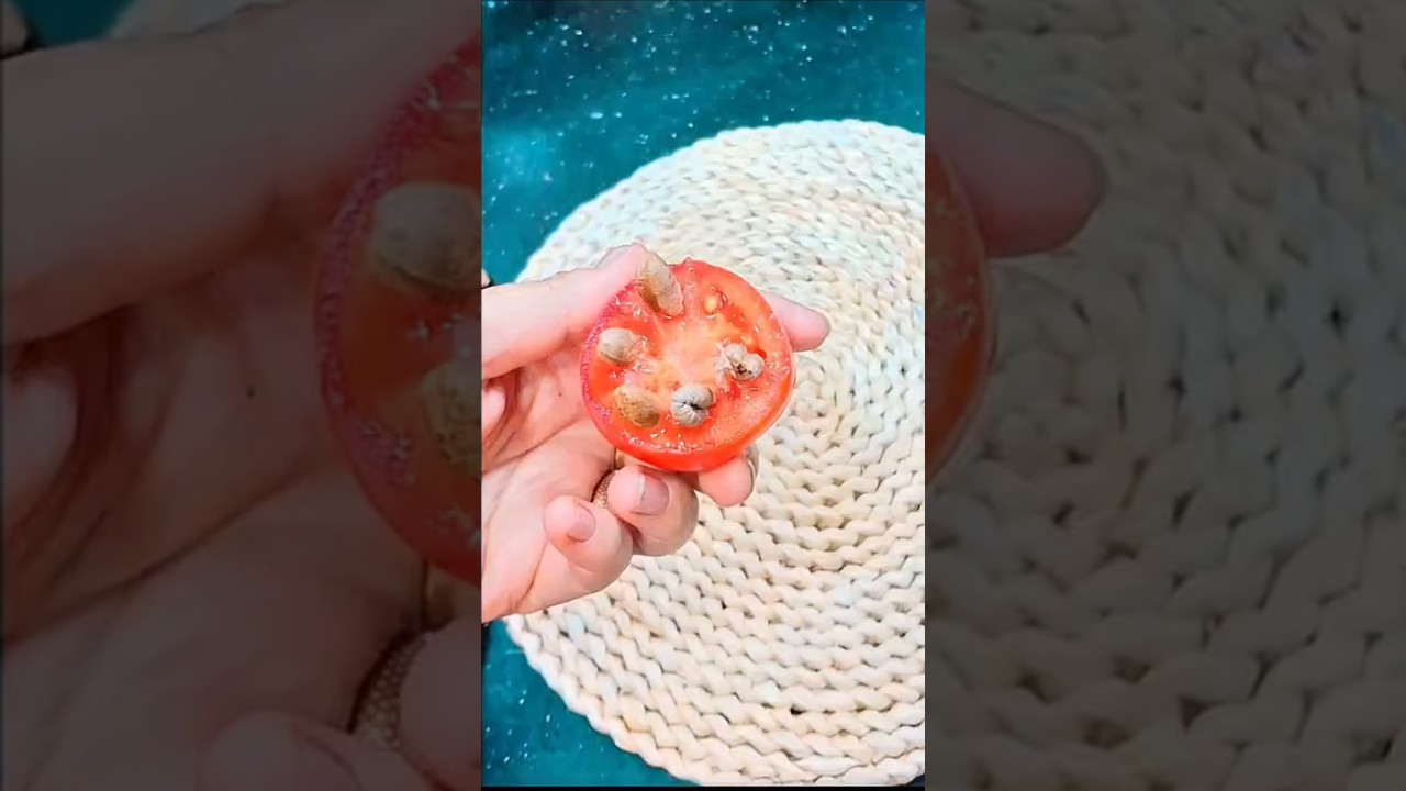 حطّي نواة التمر على الطماطم قبل رمضان 😯❗ النتيجة هتفاجئ الرجال والنساء