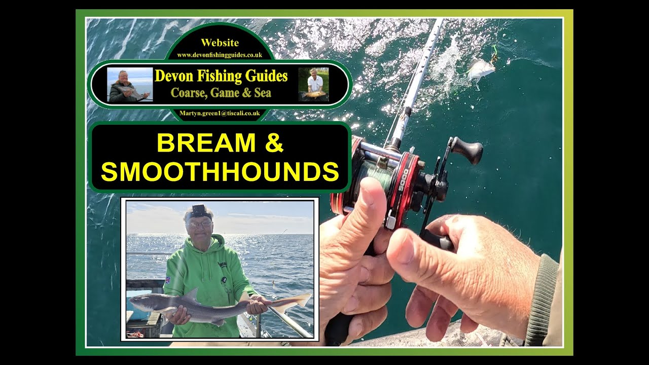 Bream and Smoothhounds