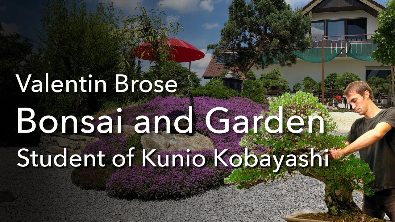 Valentin Brose, student of Master Kunio Kobayashi, designs his own  Bonsai and Bonsai-Garden, now!