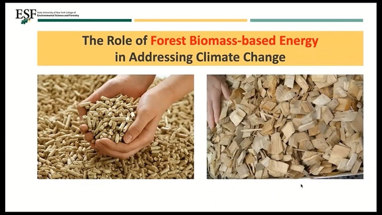 The Role of Forest Biomass in Addressing Climate Change   Rbt Malmsheimer Webinar 7 by Froling Energ