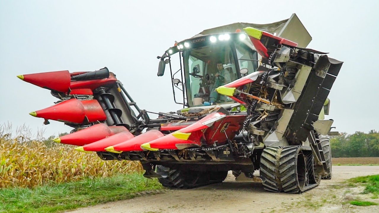 Moisson de maïs à la tombé de la nuit!