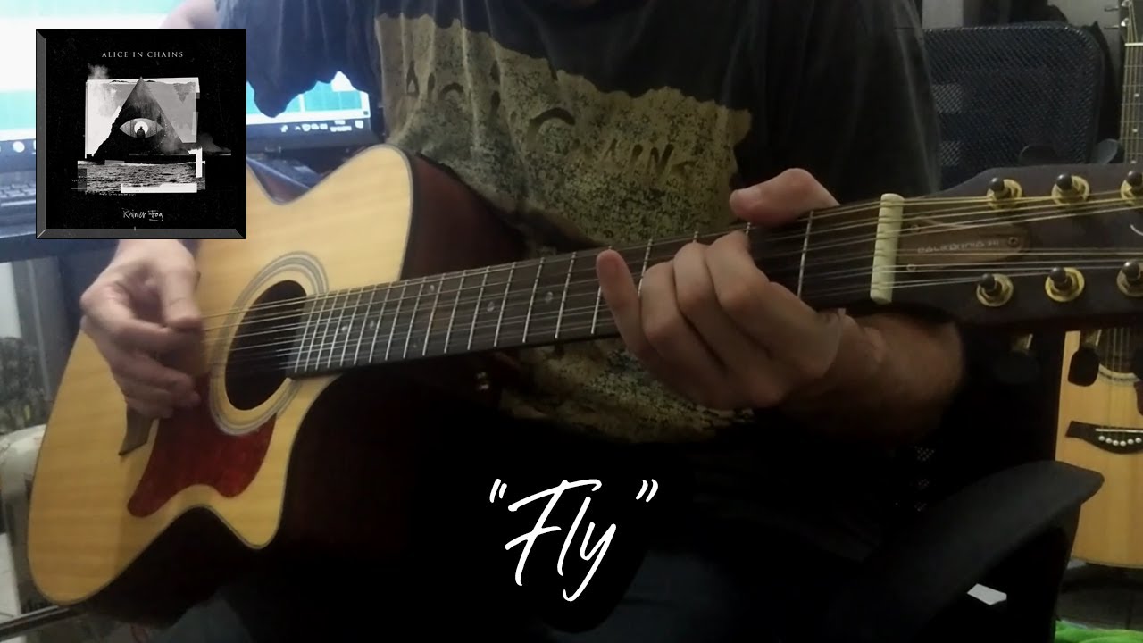 Fly (Alice In Chains Cover)
