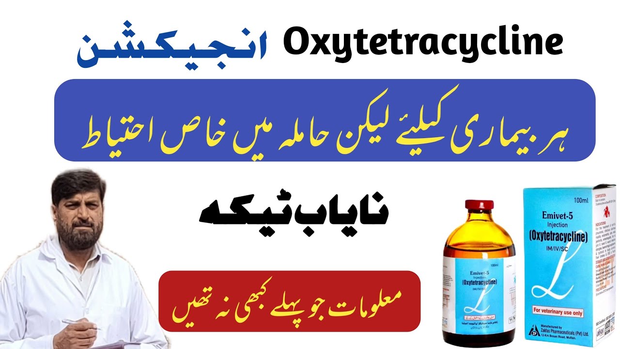 Injection Oxytetracycline - Best Veterinary uses  | How to use آ کسی ٹیٹرا سائیکلین In Cow Buffalo