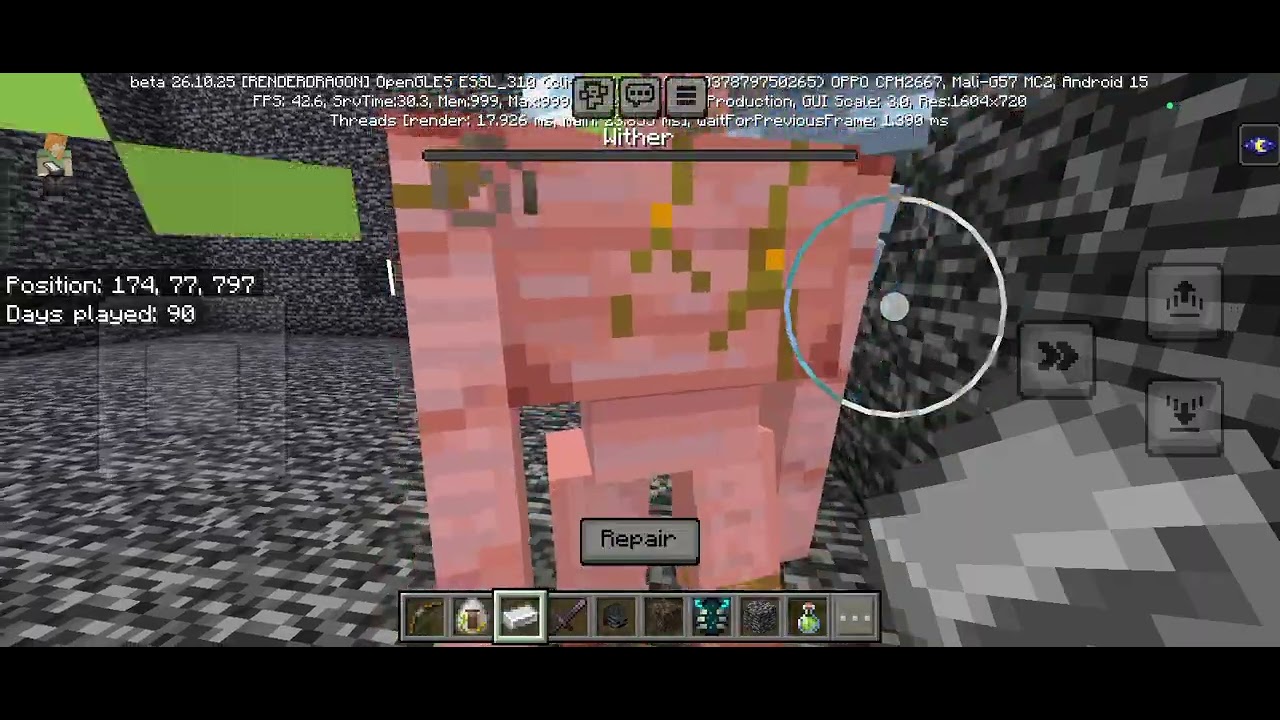 Epic fight of warden with wither