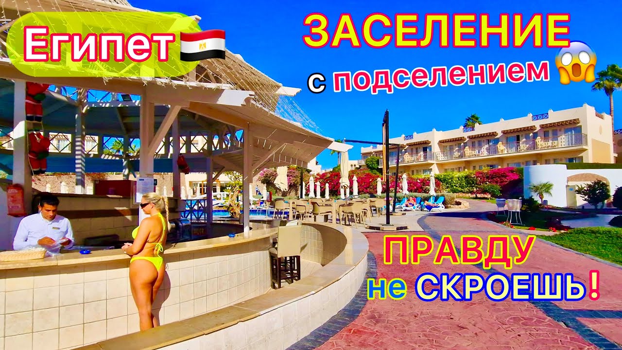 Египет 🇪🇬 ВАЖНО❗️ ЗАСЕЛЕНИЕ в отель Concorde El Salam 5* Шарм эль Шейх. Площадь СОХО цены ШОК