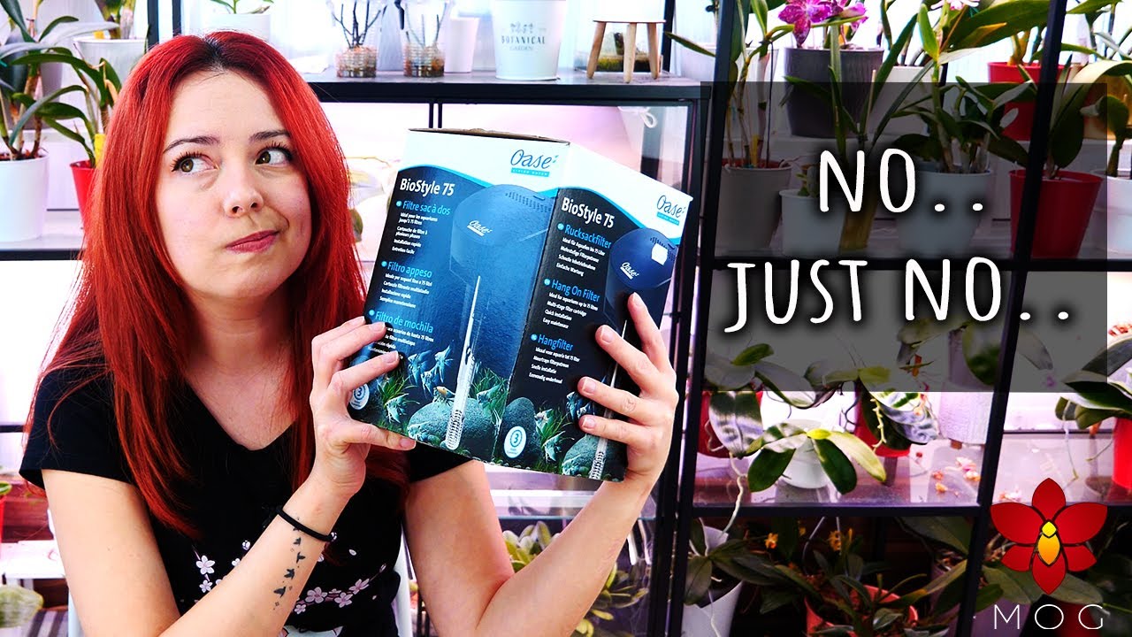 Oase BioStyle Hang On Filter Review - Am I too harsh? (NOT Sponsored)