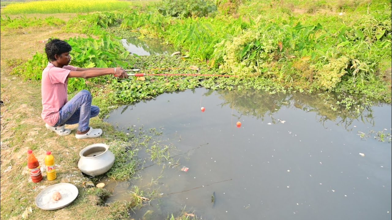 Fishing Video || It was really nice to see the fishing technique from the canal || Amazing Hook Trap