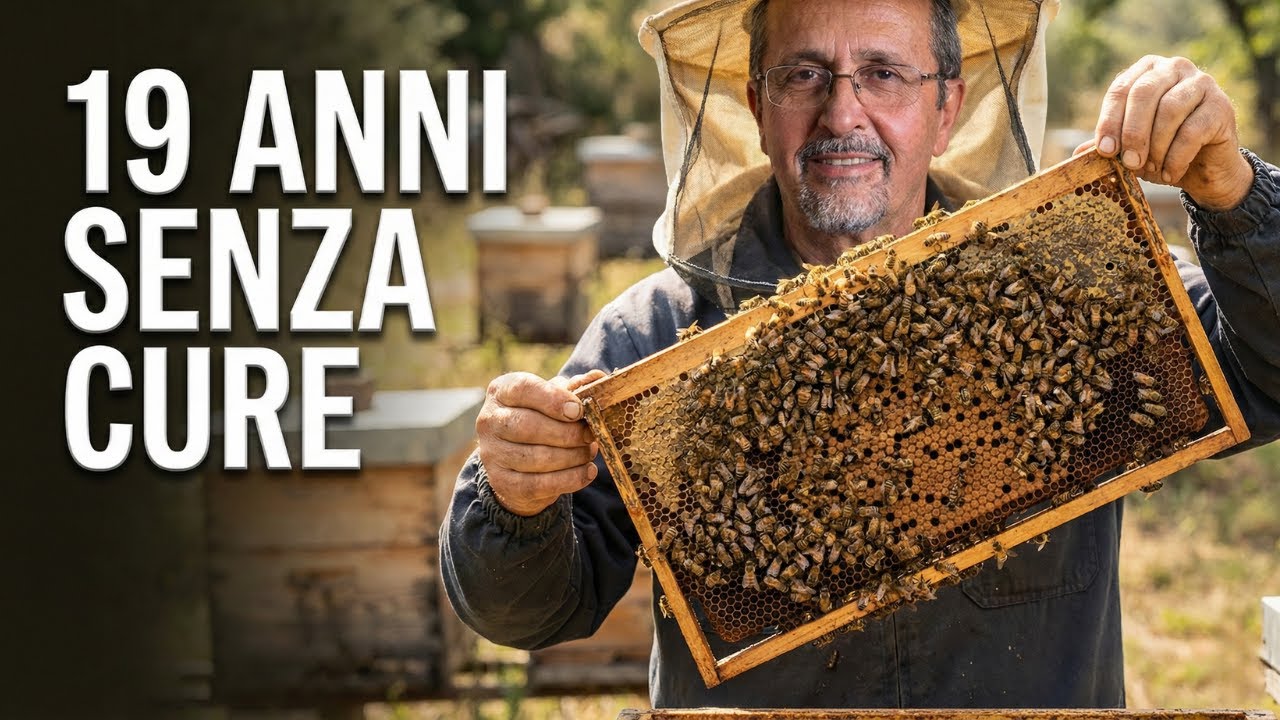 20kg da UNA sola arnia. ZERO Trattamenti. (I dati reali)