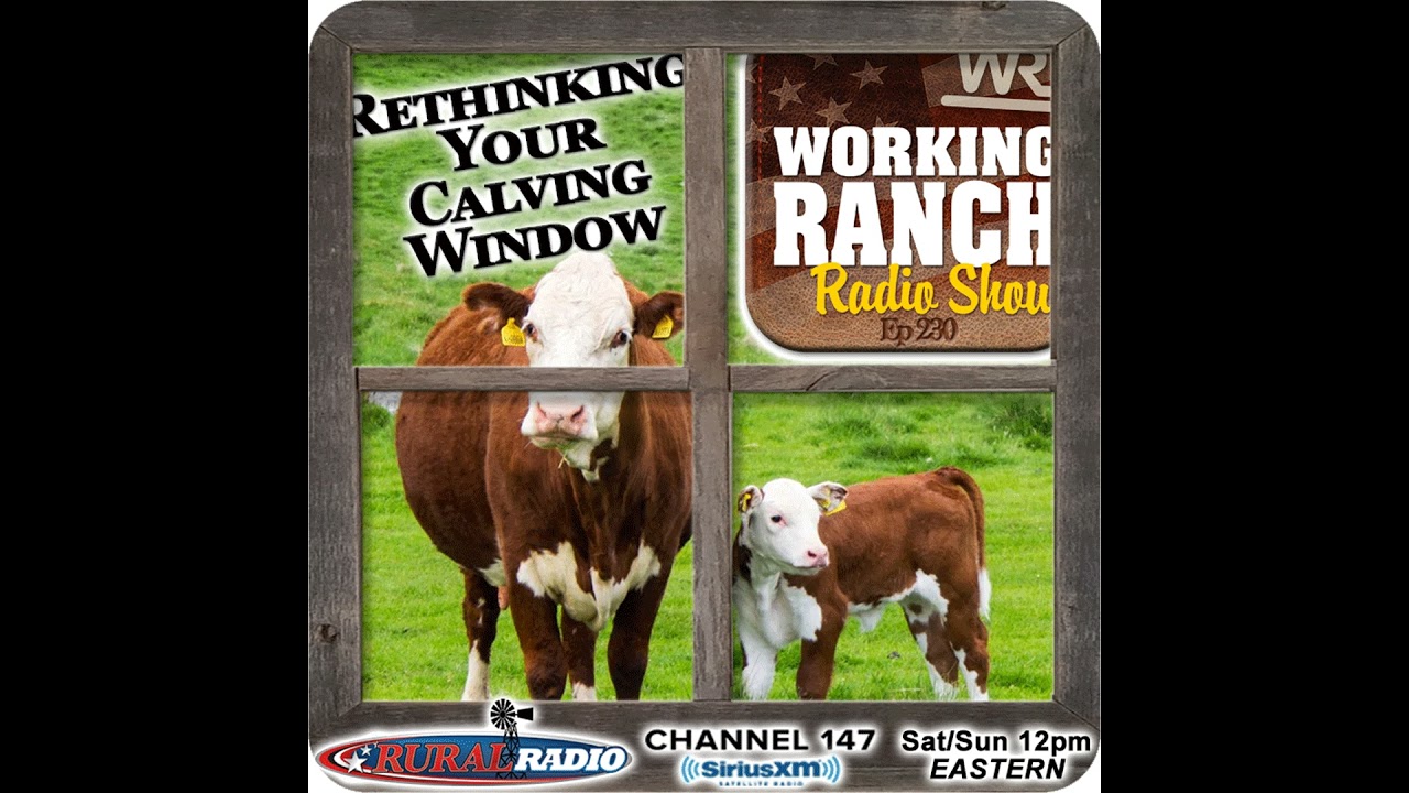 Ep 230: Rethinking Your Calving Window