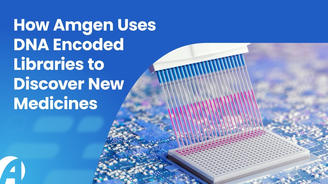 ДНК-кодированные библиотеки в разработке лекарств: как Amgen использует технологию DEL для поиска...