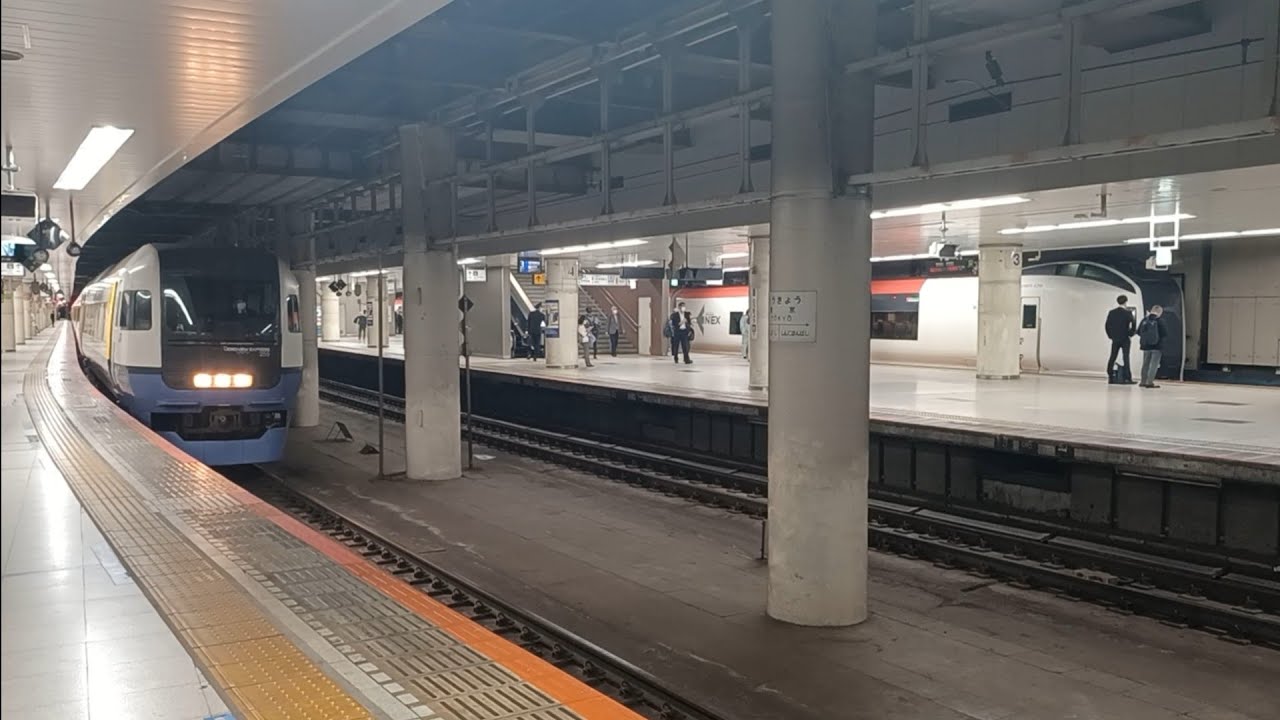 いろいろ変わる前の東京駅総武線地下ホーム(2022)