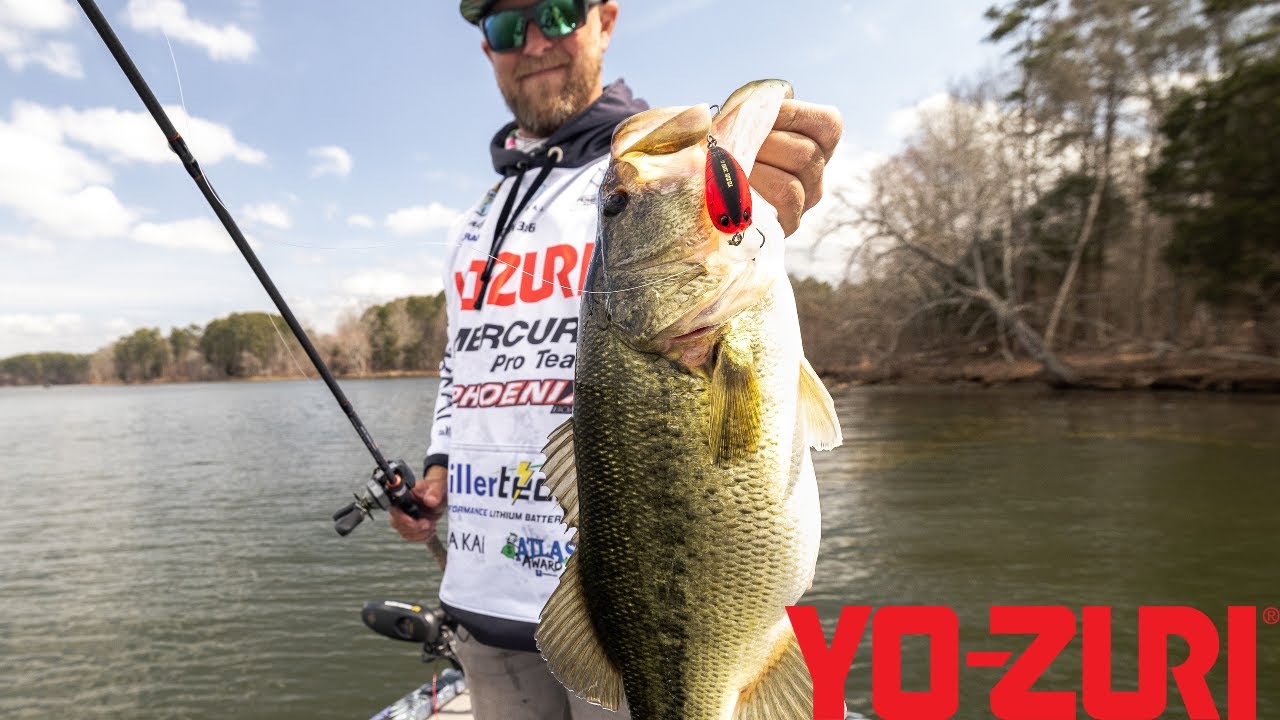 Brand New 2025 3DB Colors