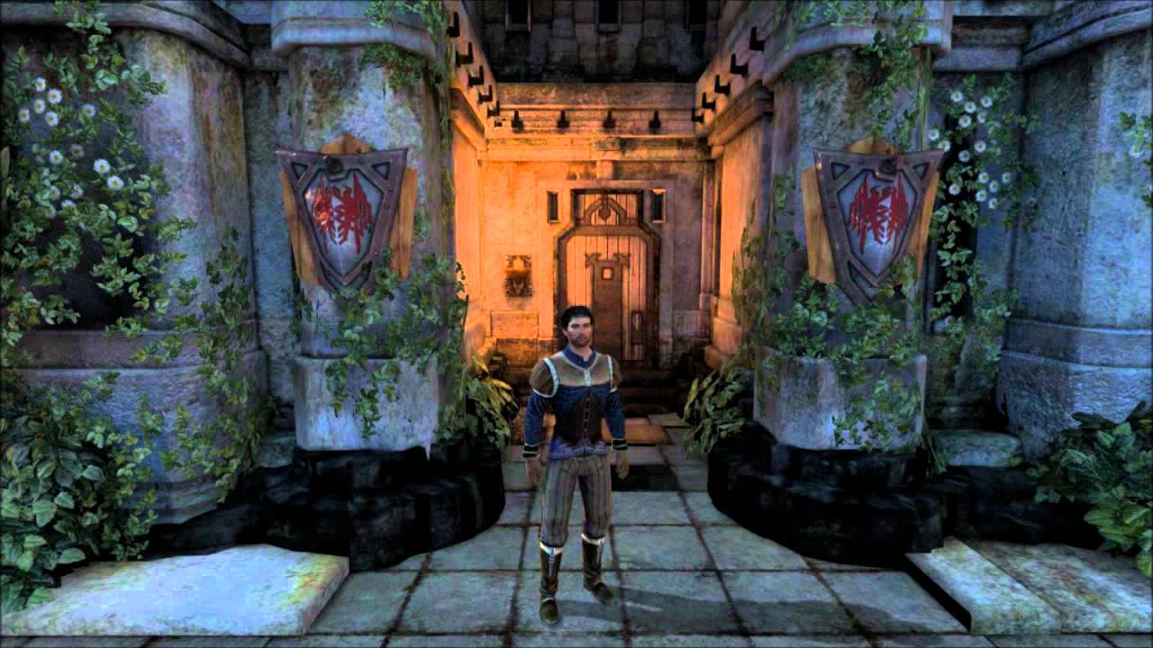Hawke's comments | Dragon Age 2