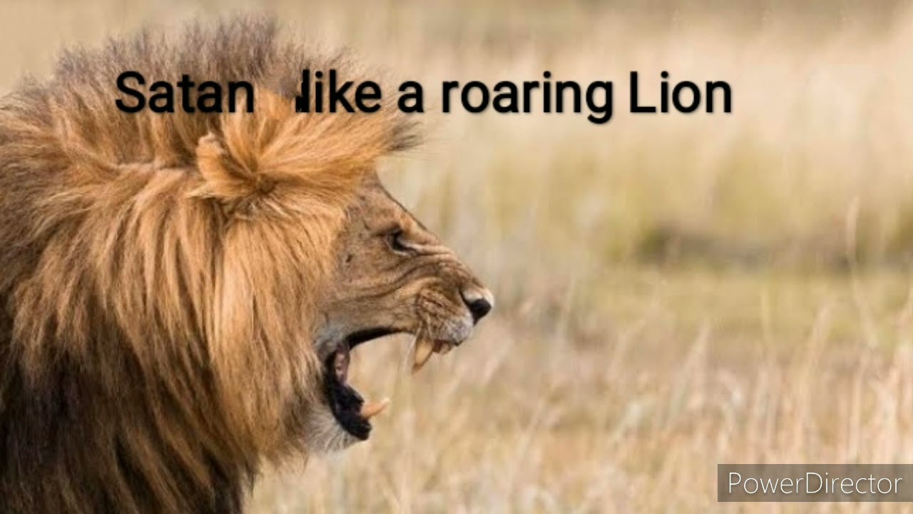 Satan like a roaring lion