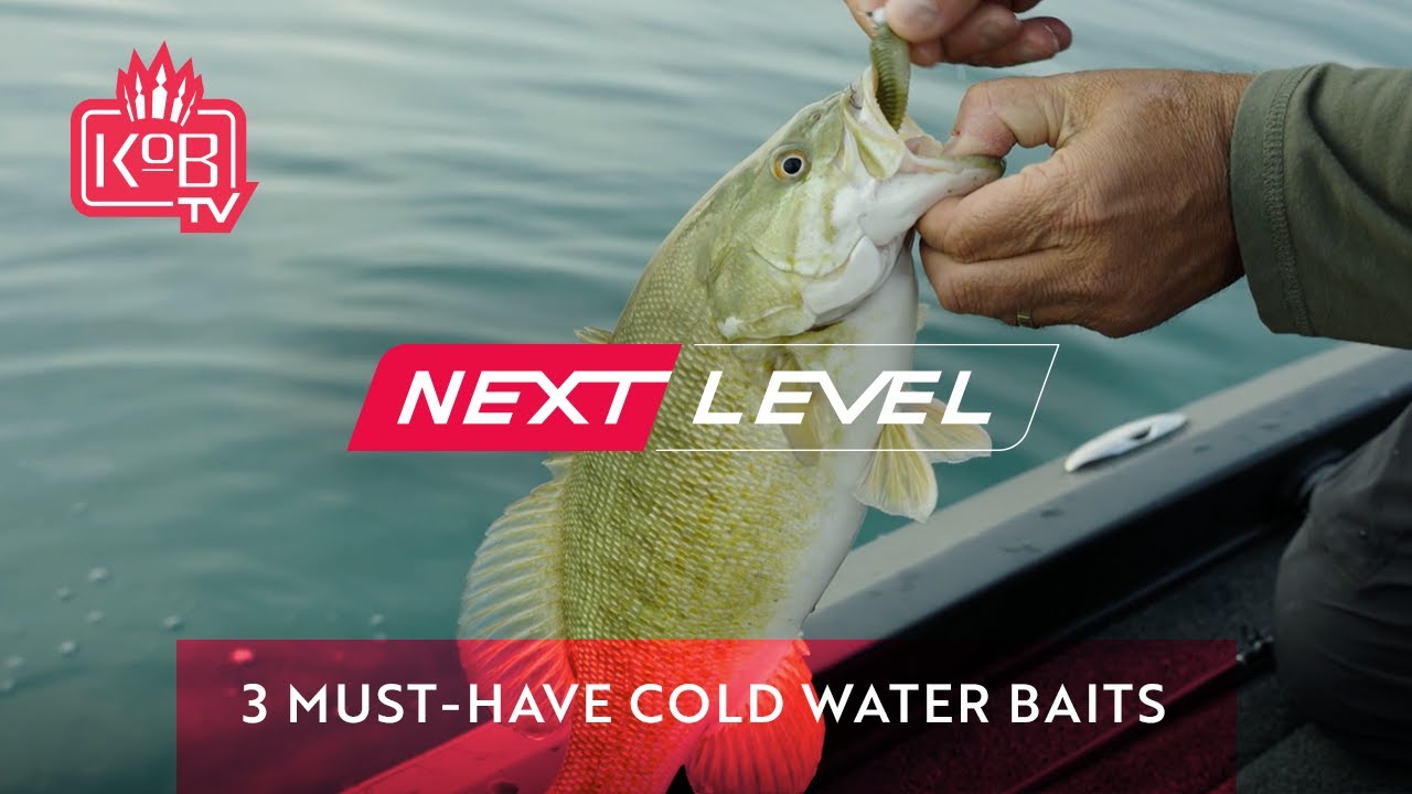 Cold Water Fishing: 3 Must-Have Baits for Winter Bass - @MarkZonaFishing [NEXT LEVEL]