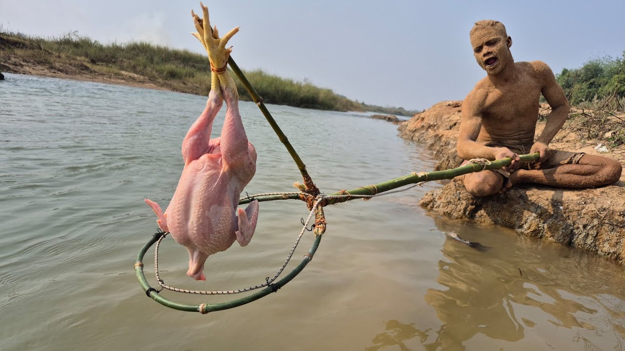 Unbelievable technique sandman fishing video using bamboo stick trap & whole chicken #fishing