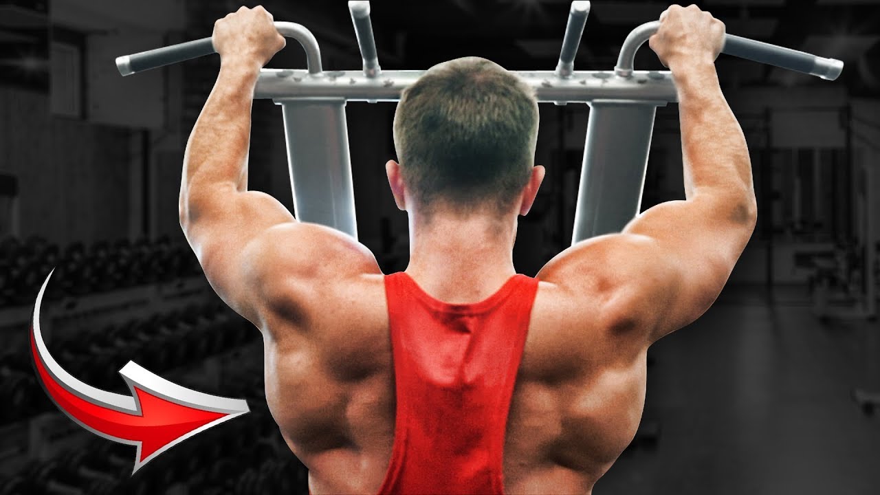 COMPLETE BACK WORKOUT | 3 Exercises (Fake Natties Can’t Handle It)