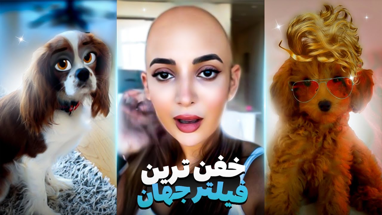 فیلتر‌های خنده‌دار‌و امتحان کردیم 😂 FUNNY FILTERS ON MY DOGS