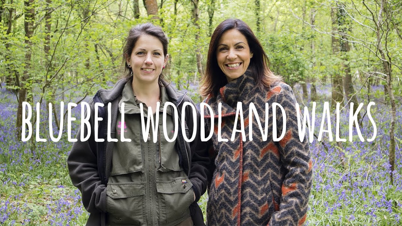 Bluebell Woodland Walks with Julia Bradbury
